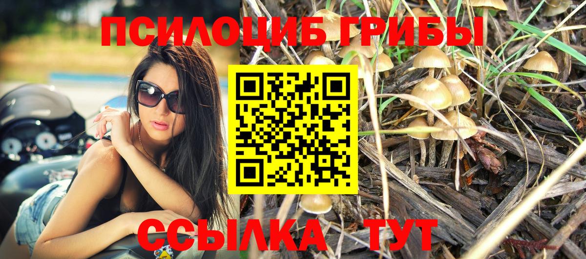 Псилоцибиновые грибы Magic Shrooms Зеленодольск