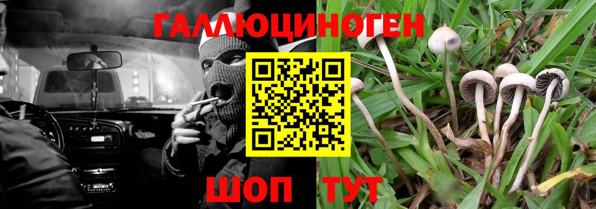 Псилоцибиновые грибы ЛСД  Псилоцибиновые грибы мухоморы  Вход с VPN  Зеленодольск 